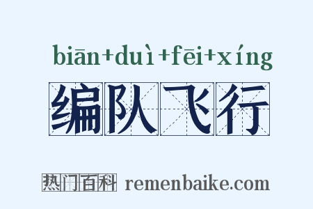 编队飞行是什么意思的图片